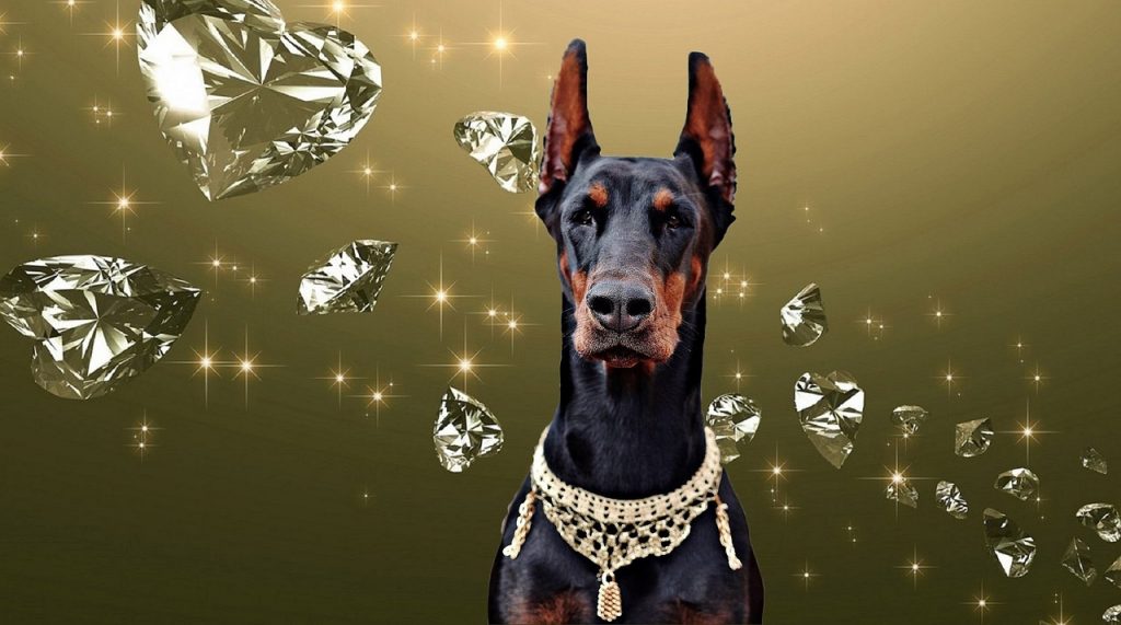 diamond dogs